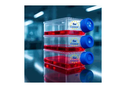 [GEN-CSI113Ra01-500k] Primary NPC Cell, Rat