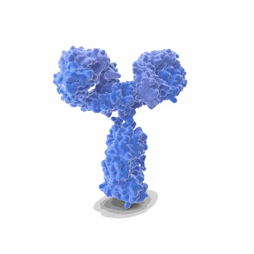 [GEN-ANTI-10] Gentaur PAb27 Monoclonal Antibody