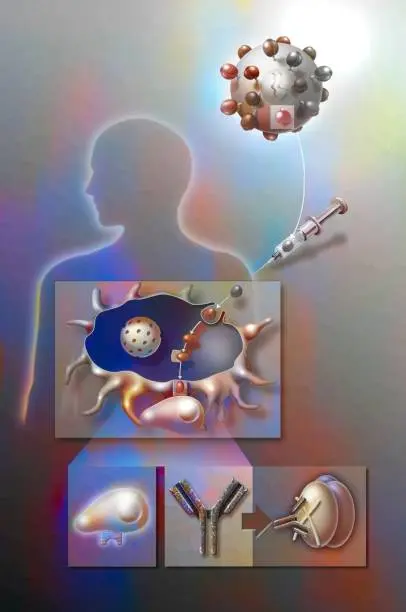 Immuno-Oncology Unlocked: From Mechanisms to Modern Therapies